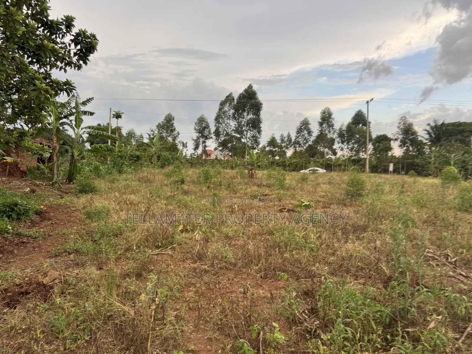 Nakifuma-Magogo Kigagga Estate Only 5 Plots Left in Kyampisi