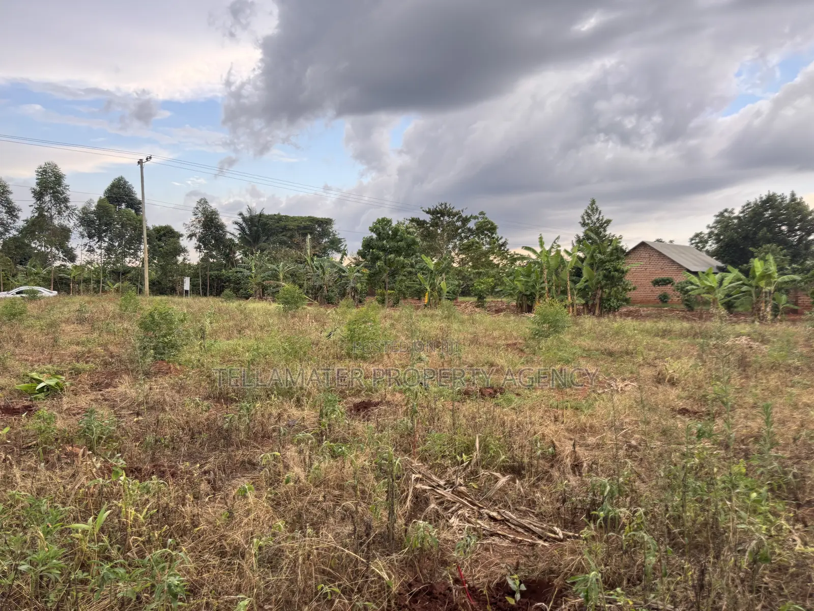 Nakifuma-Magogo Kigagga Estate Only 5 Plots Left in Kyampisi