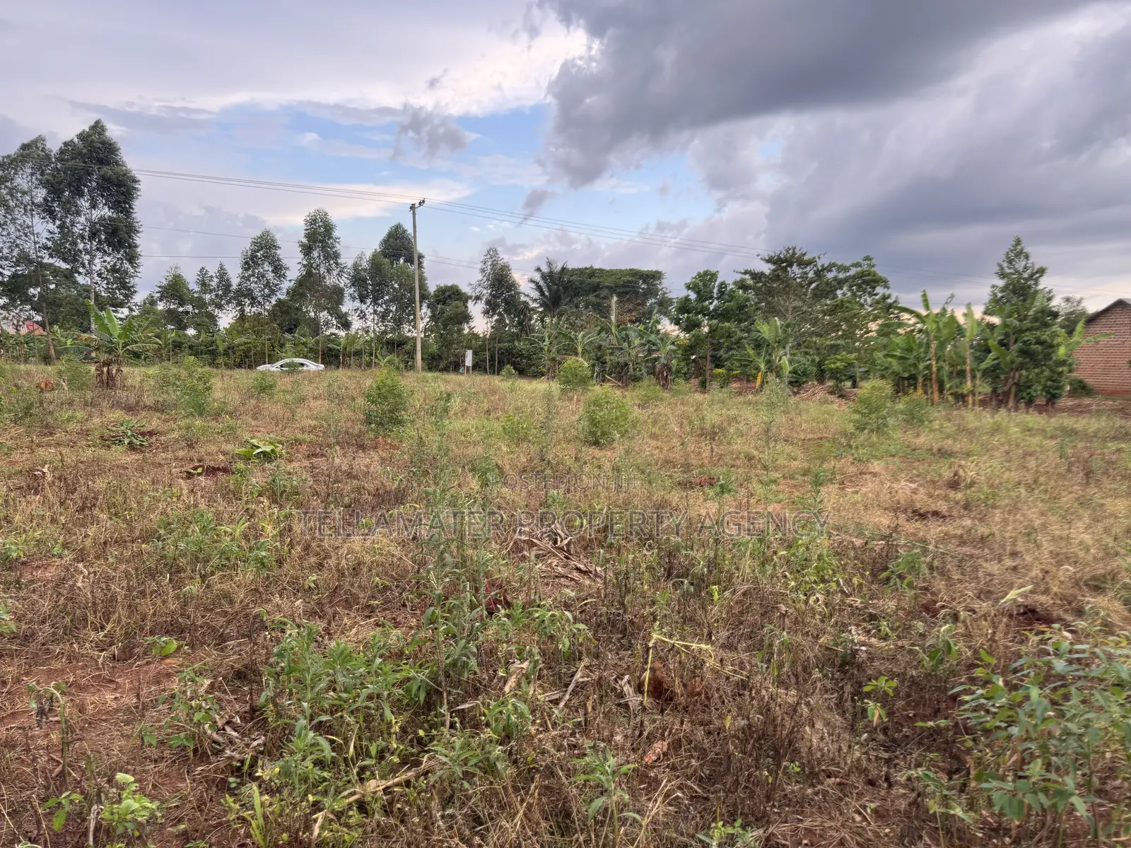 Nakifuma-Magogo Kigagga Estate Only 5 Plots Left in Kyampisi