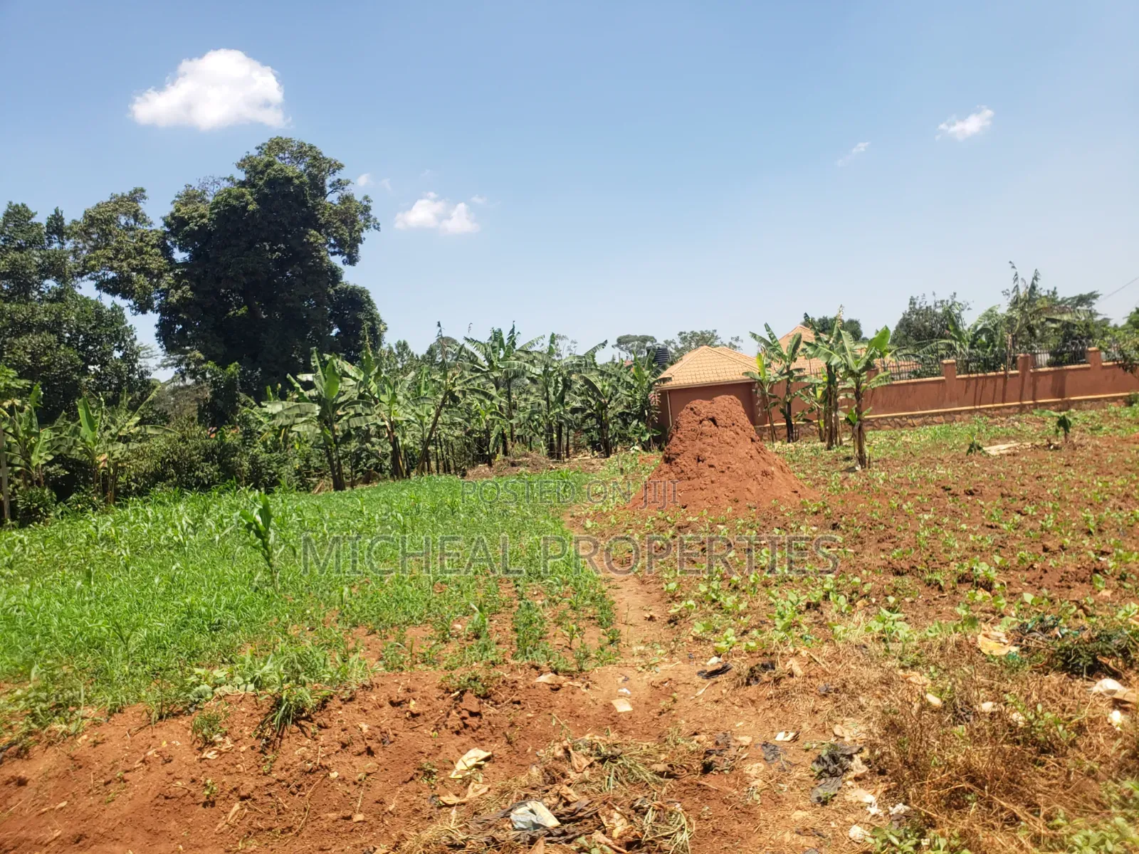 Plot for Sell Kitagobwa 50ft by 100ft at 80m in Wakiso / Wakiso