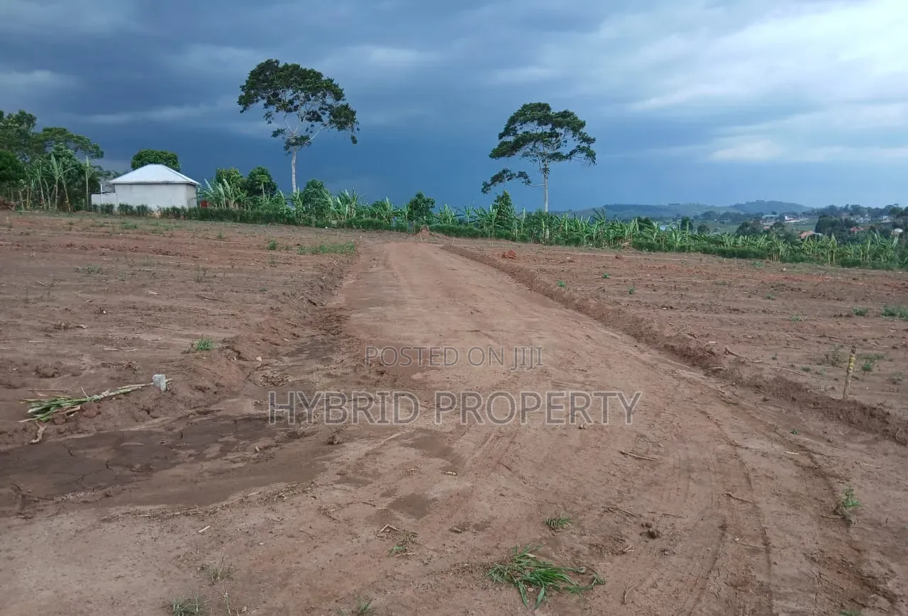 Prime Plots for Sale at Mwera~Kakiri Nature Land Estate~Hoima Road P in Kakiri