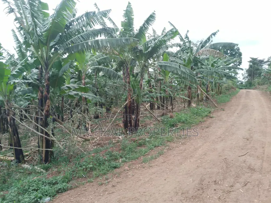 3 Plot for Sell Gayaza Kiwenda Luwunga at 55m All in Wakiso / Wakiso