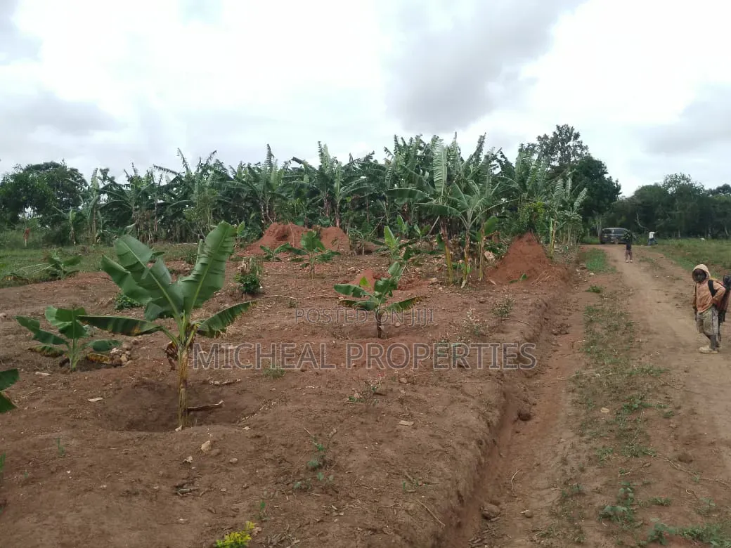 3 Plot for Sell Gayaza Kiwenda Luwunga at 55m All in Wakiso / Wakiso