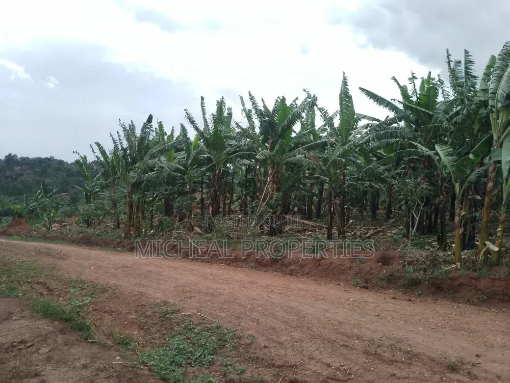 3 Plot for Sell Gayaza Kiwenda Luwunga at 55m All in Wakiso / Wakiso