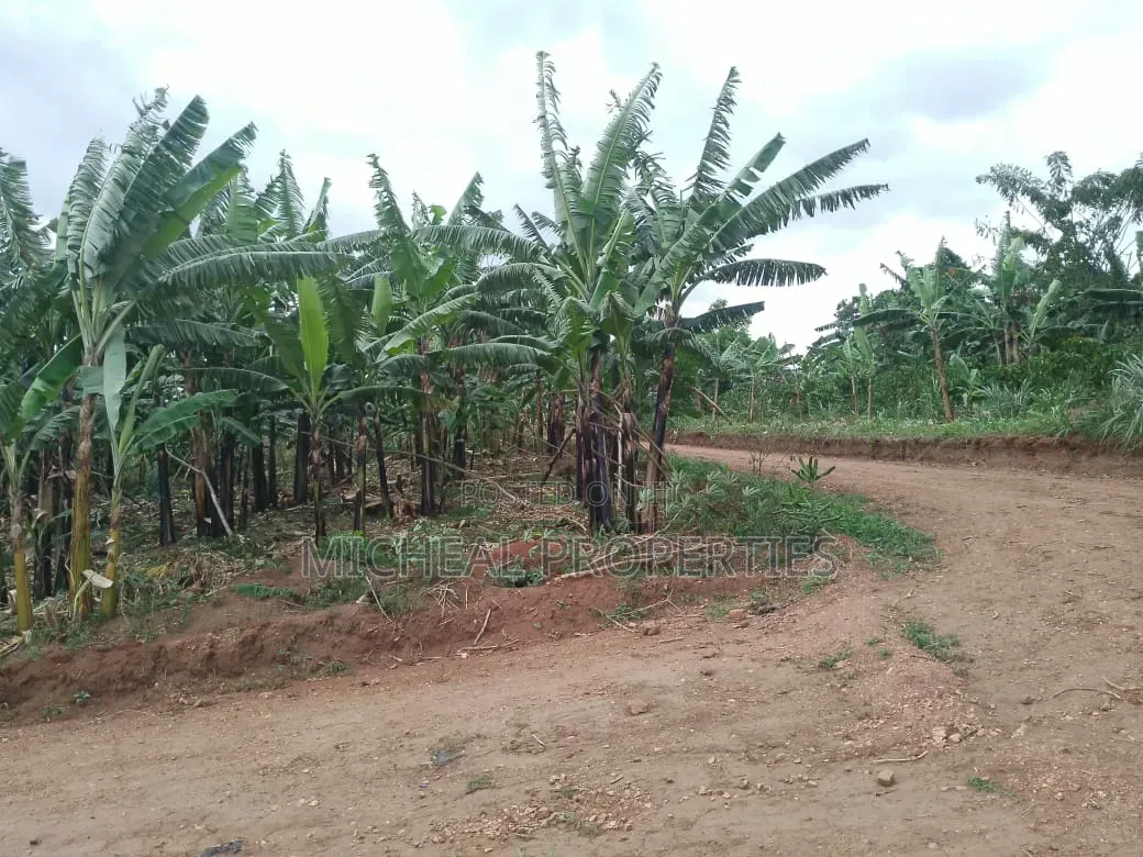 3 Plot for Sell Gayaza Kiwenda Luwunga at 55m All in Wakiso / Wakiso
