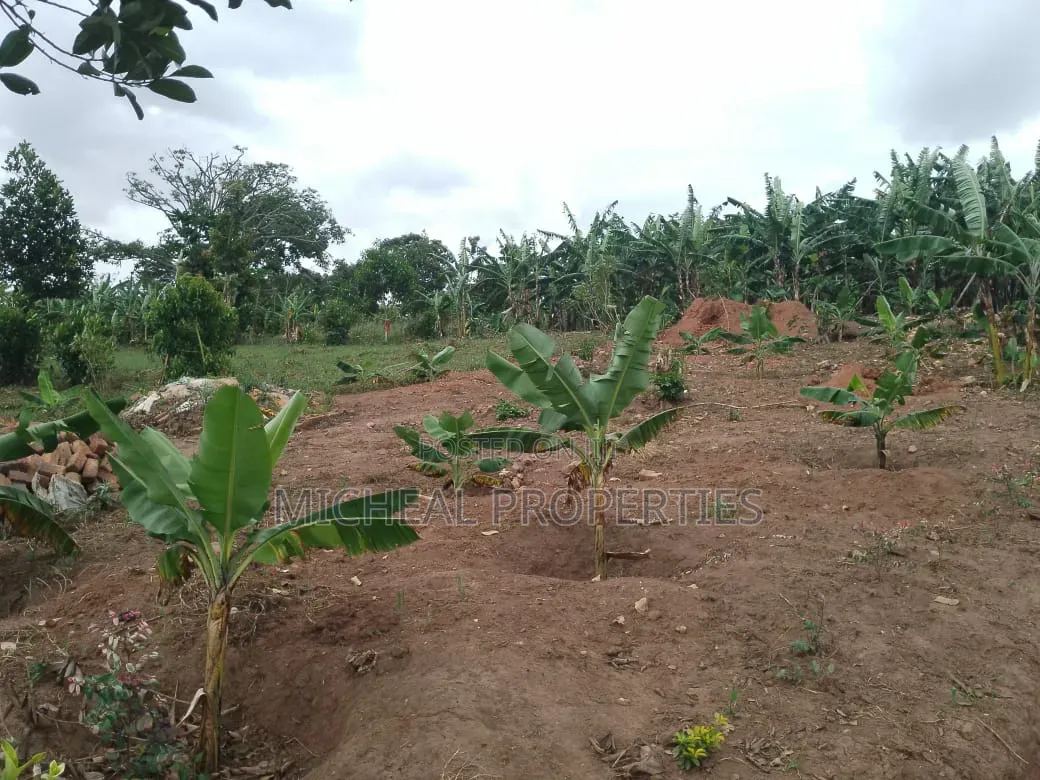 3 Plot for Sell Gayaza Kiwenda Luwunga at 55m All in Wakiso / Wakiso