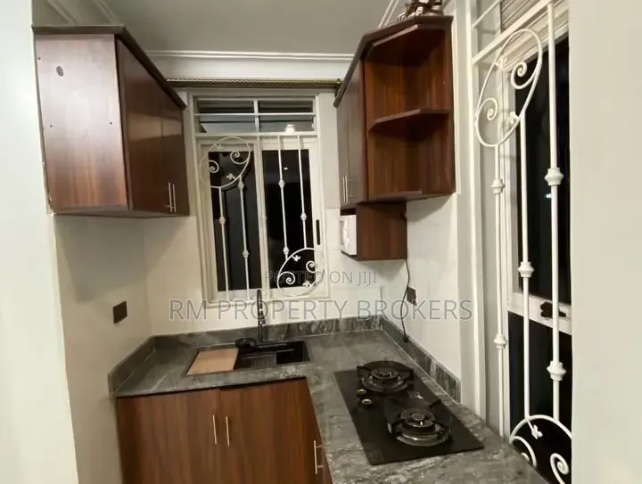 1bdrm Apartment in Lukuli Rd, Central Division for rent in Central Division