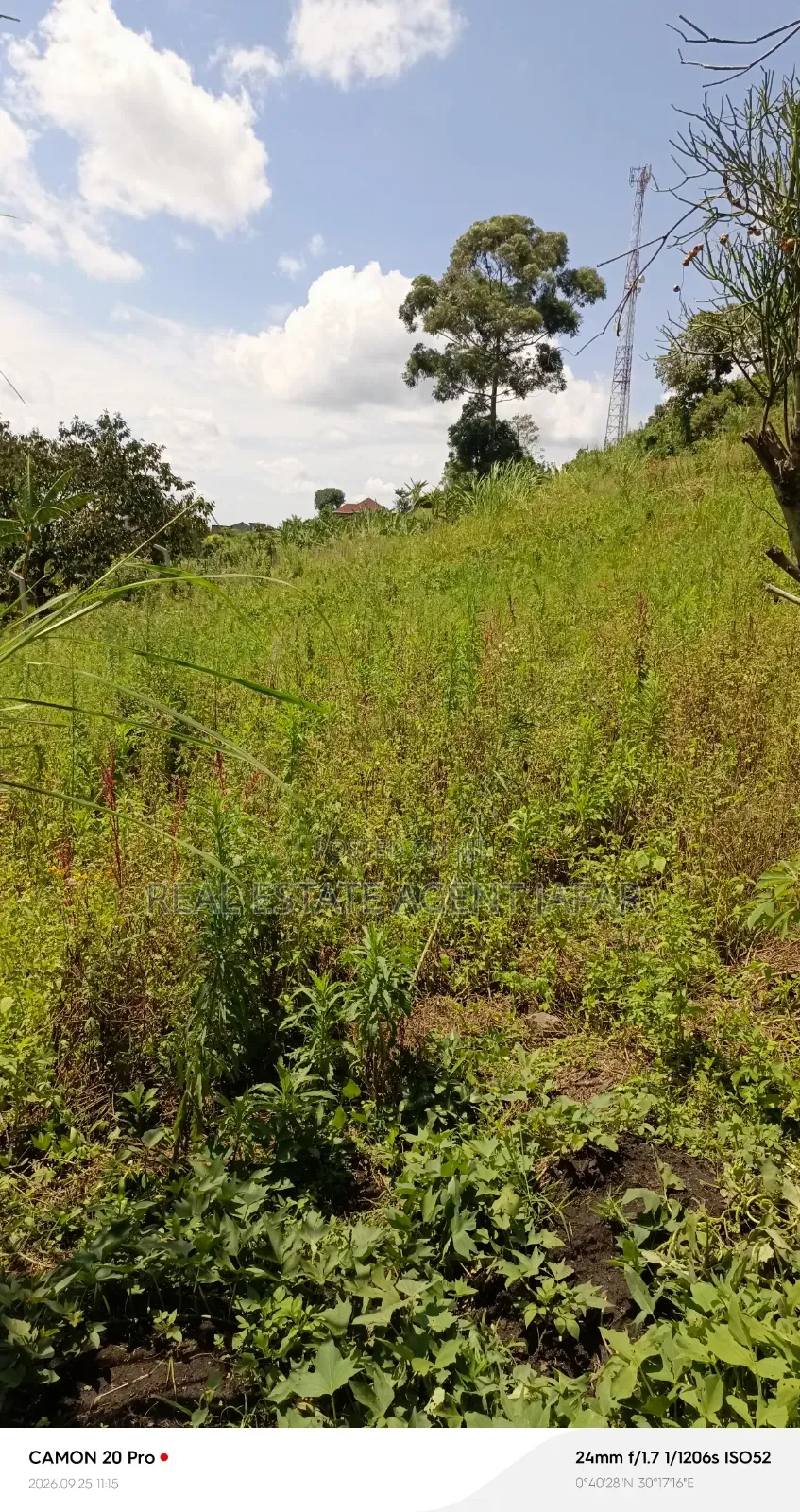 1.5 Acres Titled Land for Sale in Booma, Fort Portal City. in Kabalore