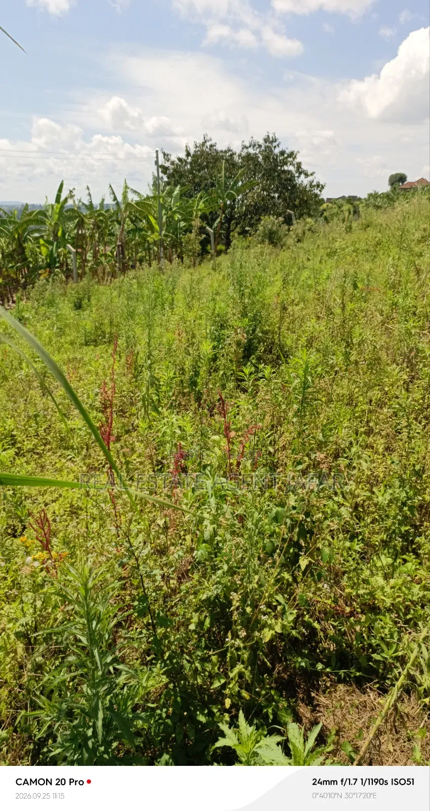 1.5 Acres Titled Land for Sale in Booma, Fort Portal City. in Kabalore