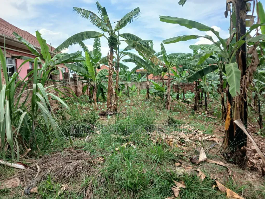 23 Decimals for Sell Masoli Gayaza Rd 260m in Wakiso / Wakiso