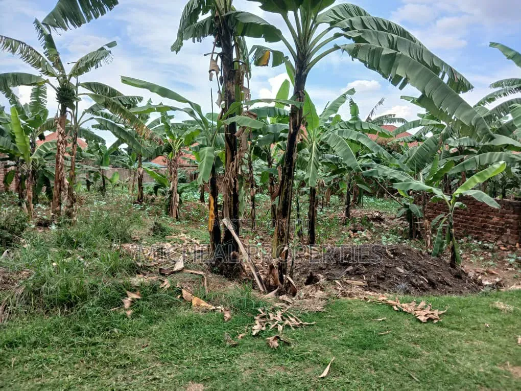 23 Decimals for Sell Masoli Gayaza Rd 260m in Wakiso / Wakiso