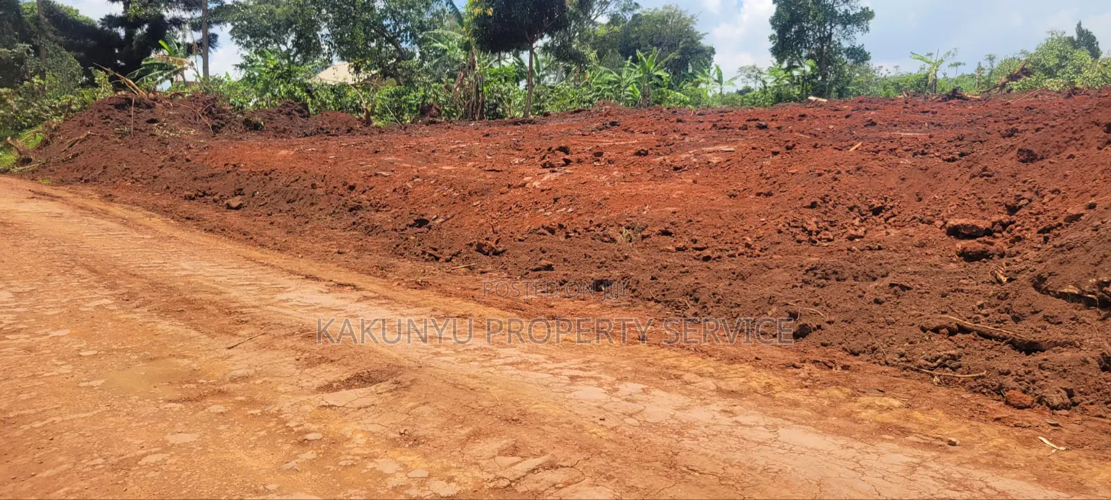 12 Namayumba Roadside Titled Plots in Wakiso / Wakiso