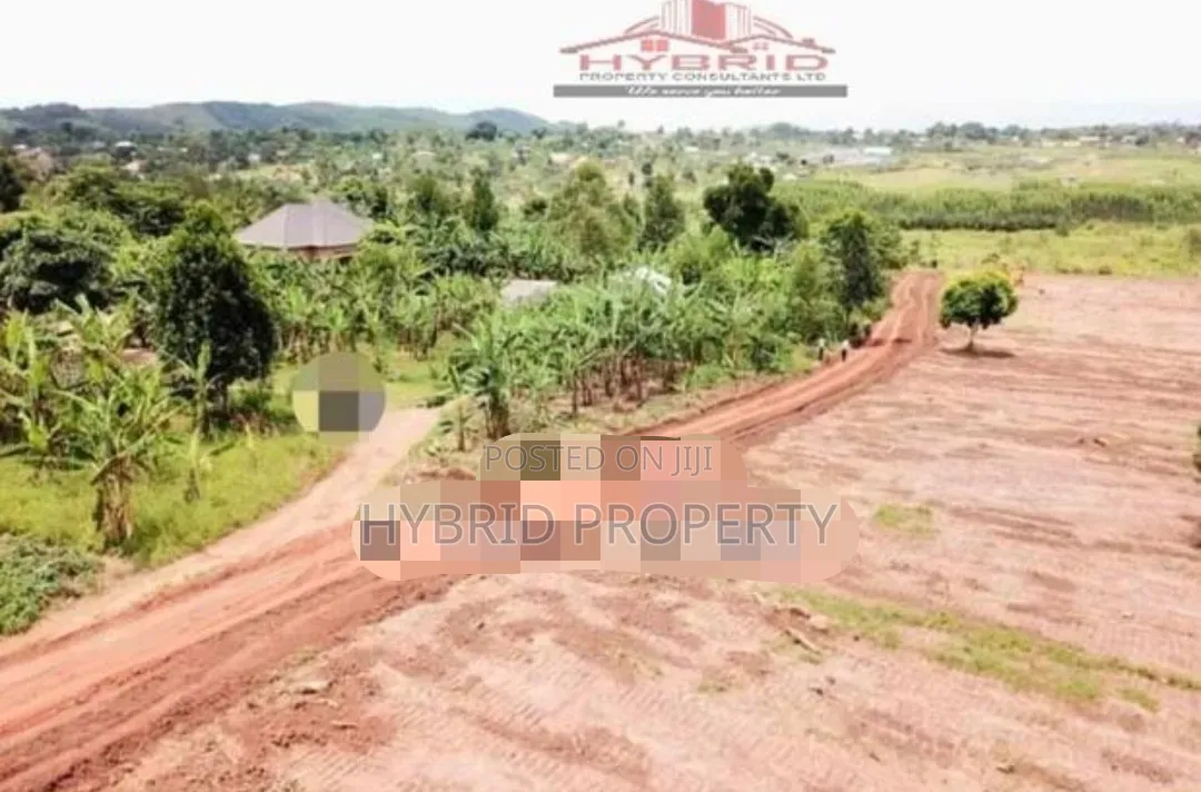 Prime Plots for Sale Mwera~Kakiri Sweetillious Land Estate~Hoima Road. in Kakiri