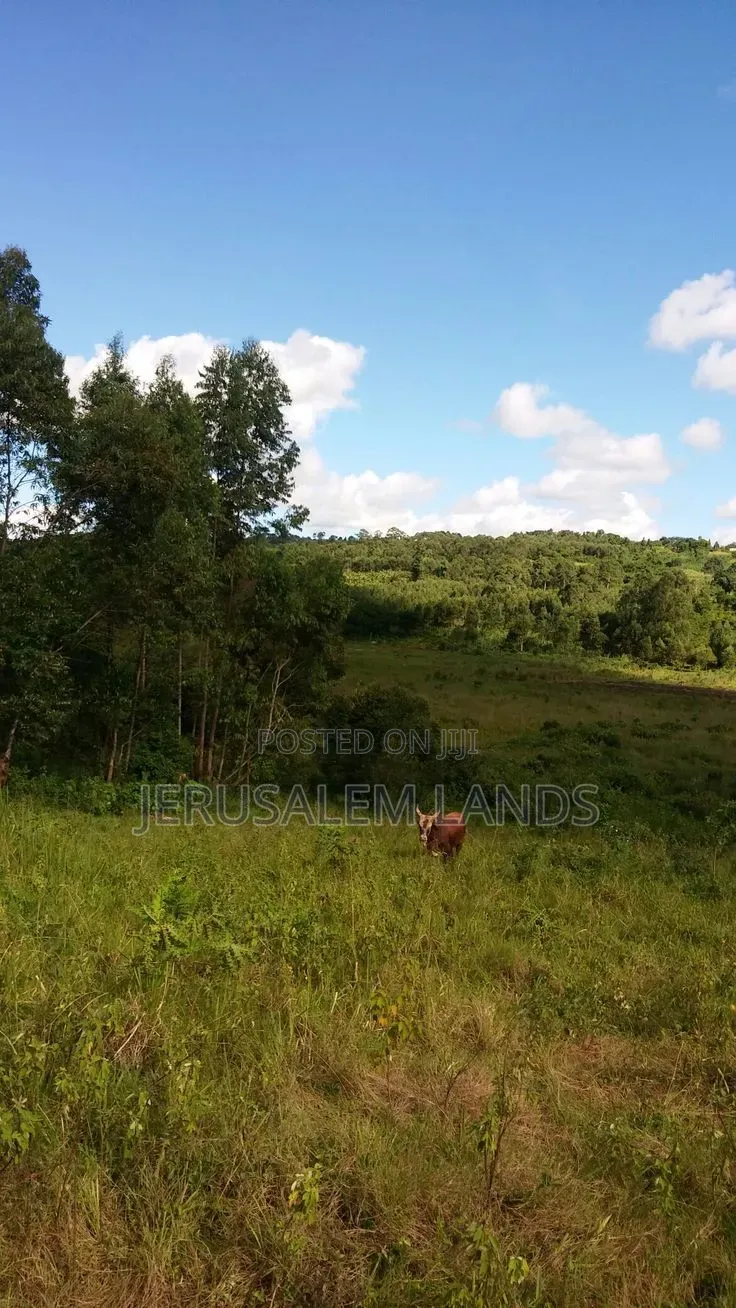 Sq Mile Land on Sale and Lease Luwero Kyankwanzi Mayoga in Nyimbwa