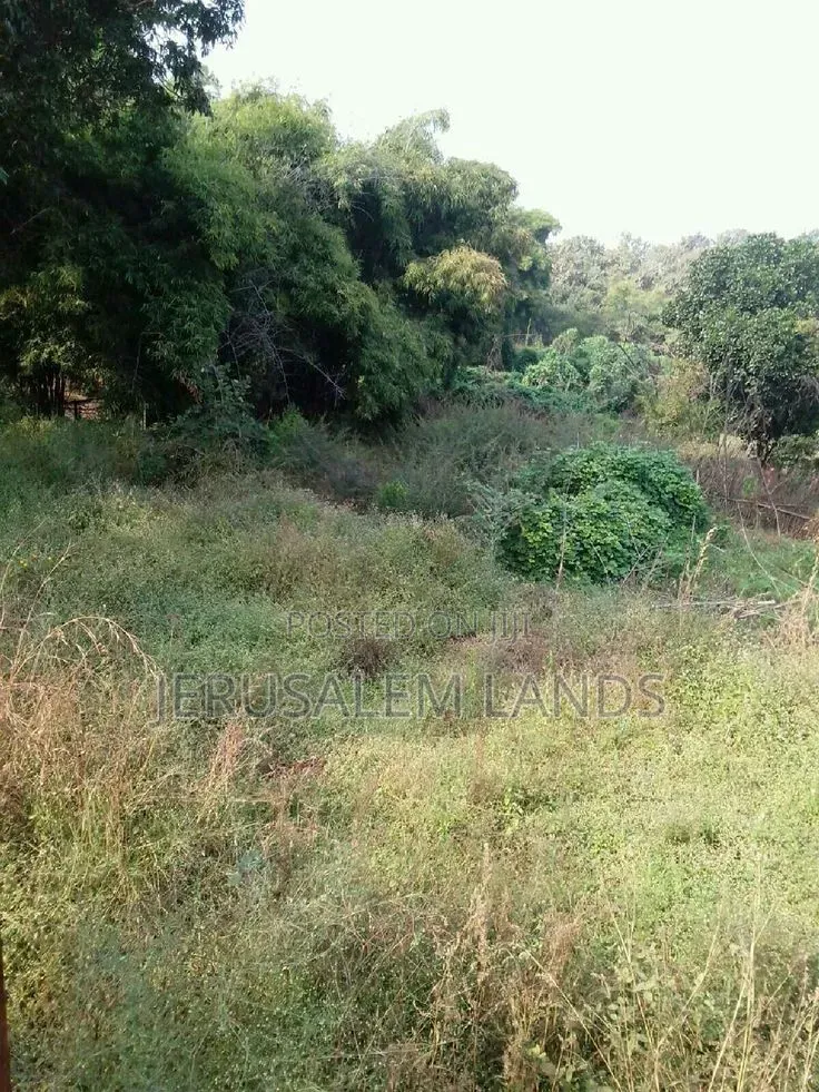 Sq Mile Land on Sale and Lease Luwero Kyankwanzi Mayoga in Nyimbwa