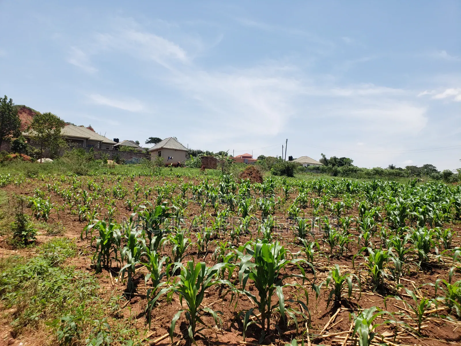 13 Decimals for Sell Gayaza Kabubuu at 28 in Wakiso / Wakiso