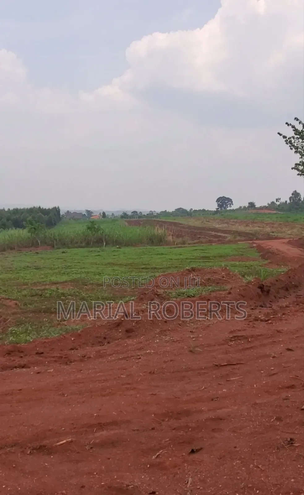 Titled Estate Plots for Sale in Busukuma