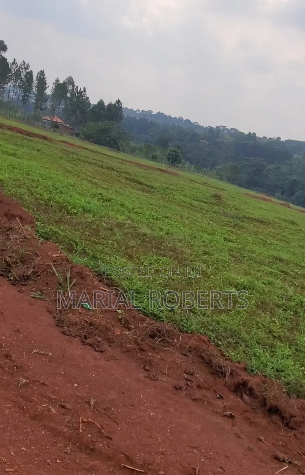 Titled Estate Plots for Sale in Busukuma
