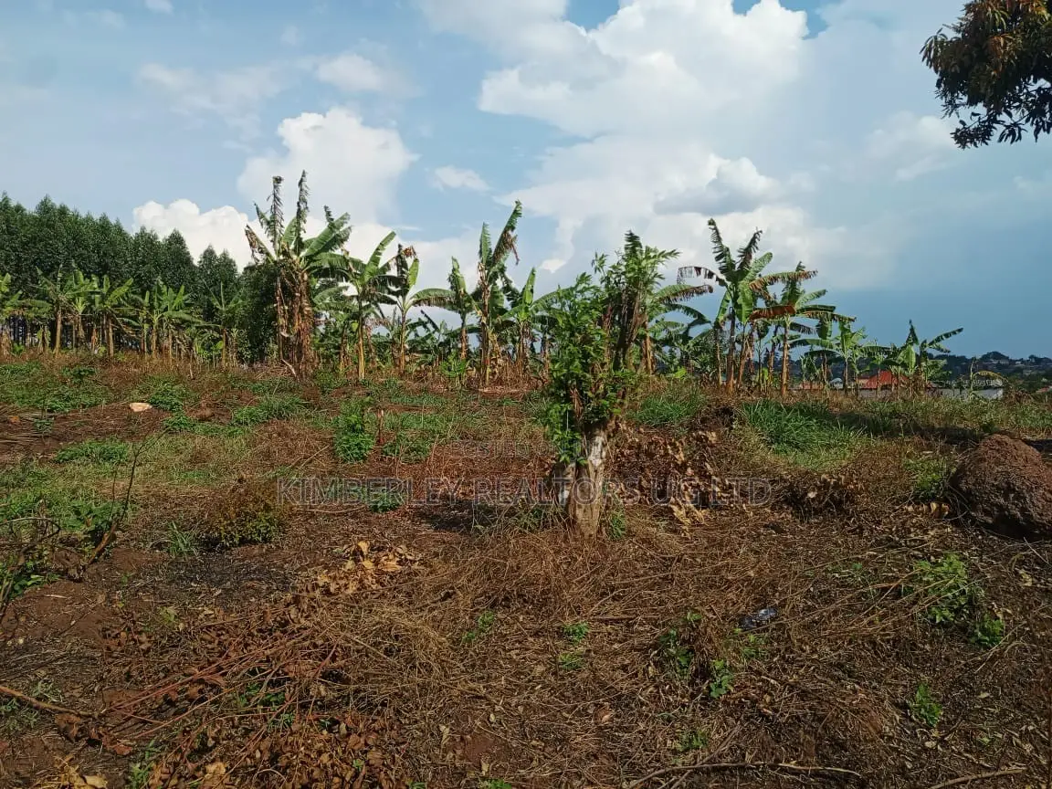  3 Acres of Land for Sale – Kigogwa in Division A