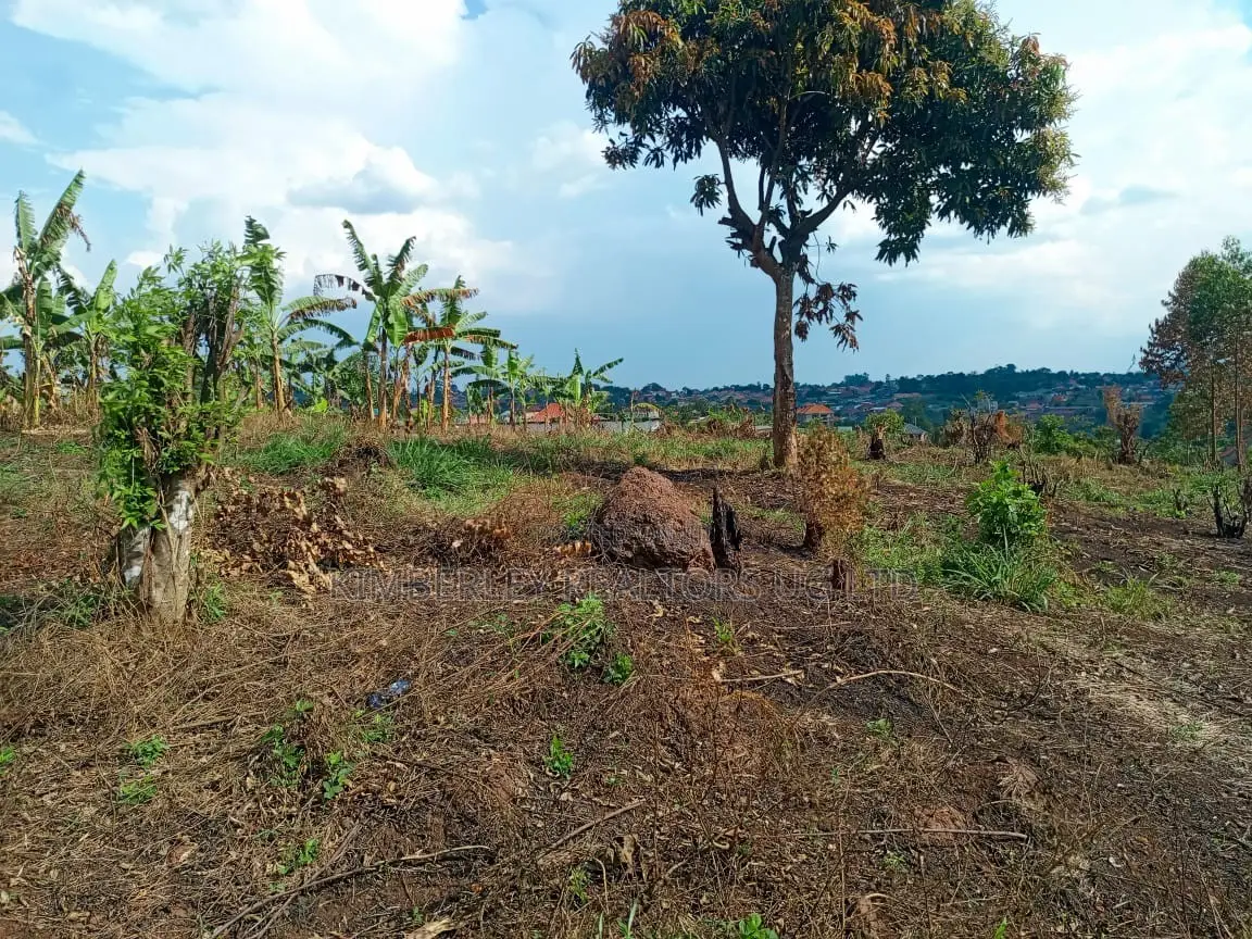  3 Acres of Land for Sale – Kigogwa in Division A