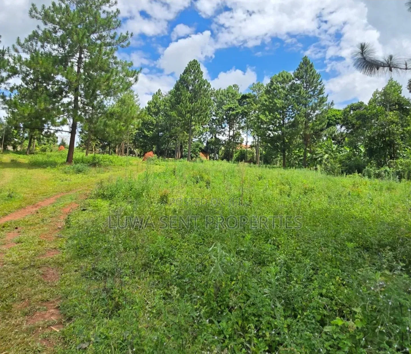 3 Acres Busunju Private Mailo Land Title in Mityana TC