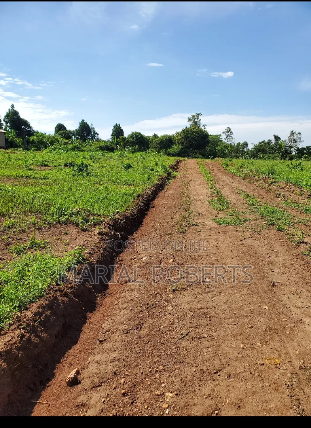 Titled Plots in Bamutakude for Sale in Mukono TC