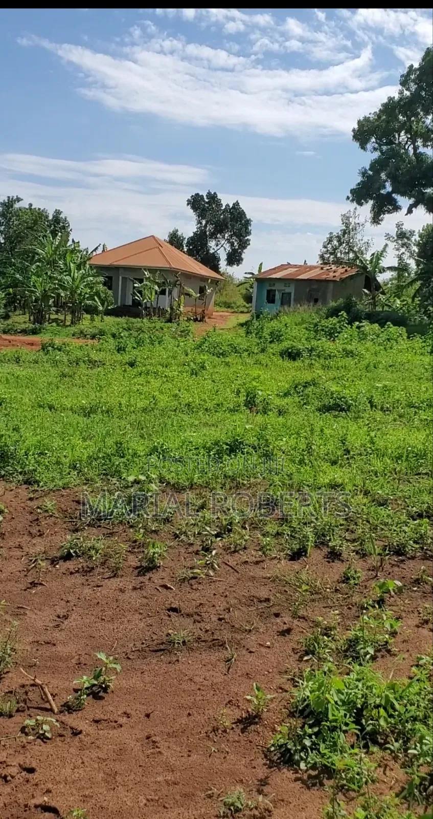 Titled Plots in Bamutakude for Sale in Mukono TC