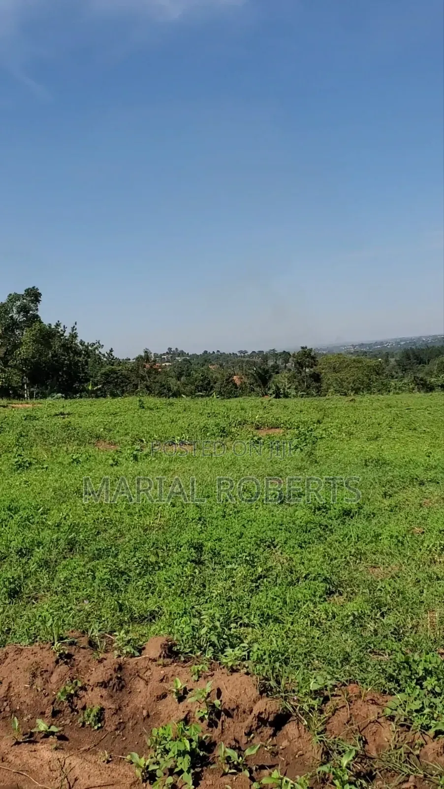 Titled Plots in Bamutakude for Sale in Mukono TC