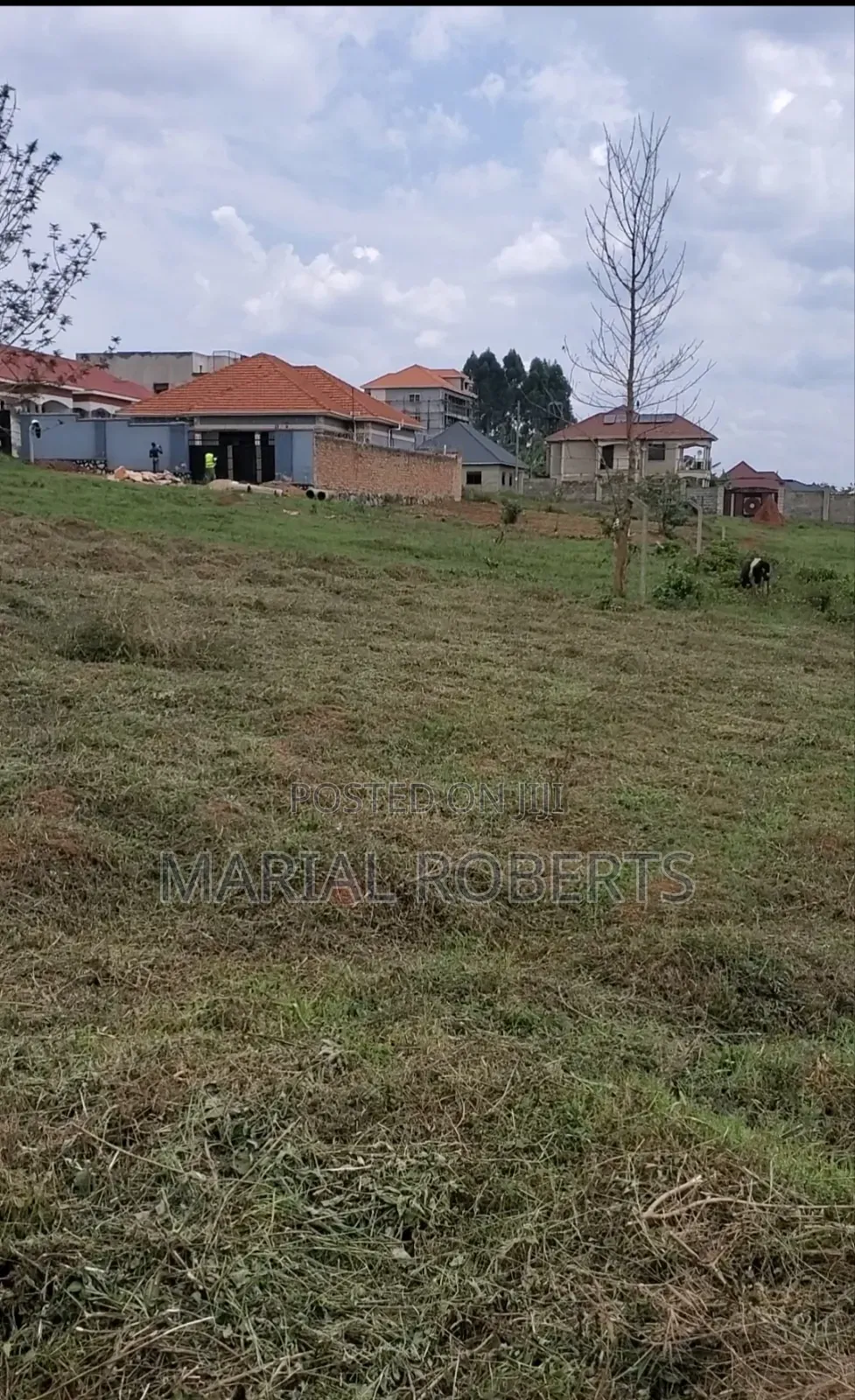 Prime Titled Plots for Sale in Mukono TC