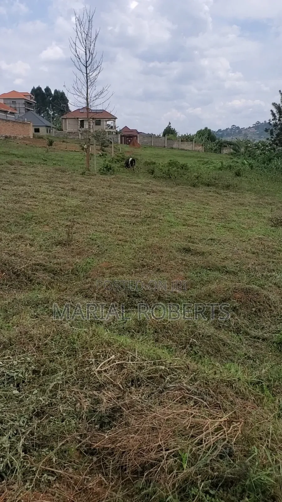 Prime Titled Plots for Sale in Mukono TC
