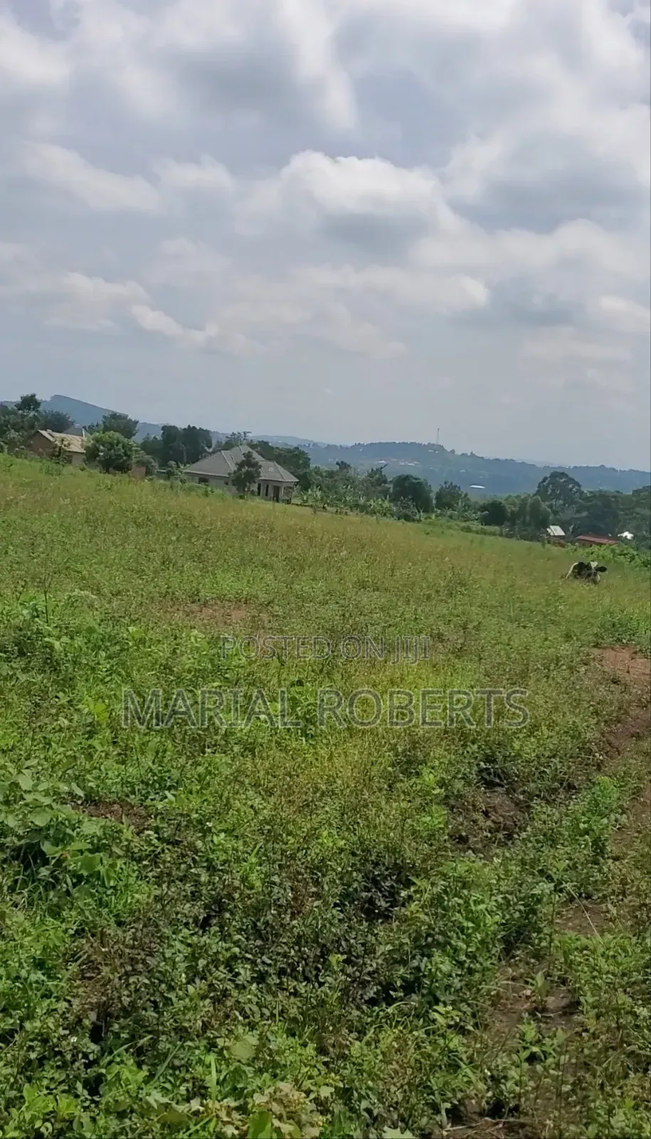 Prime Estate Plots for Sale in Wakiso / Wakiso