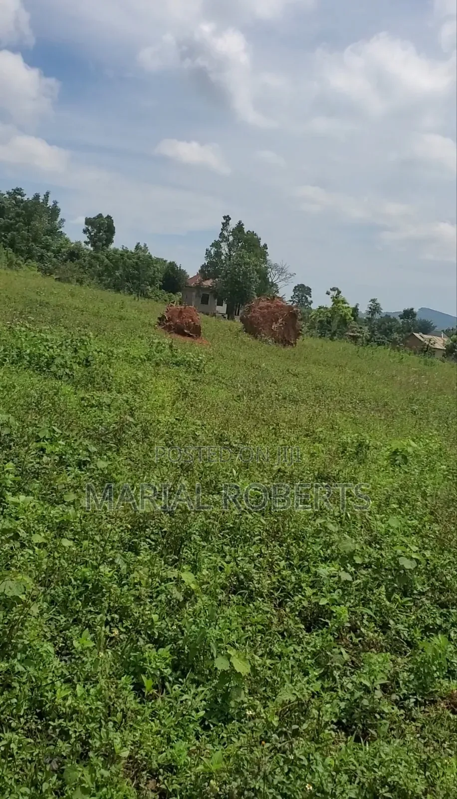 Prime Estate Plots for Sale in Wakiso / Wakiso
