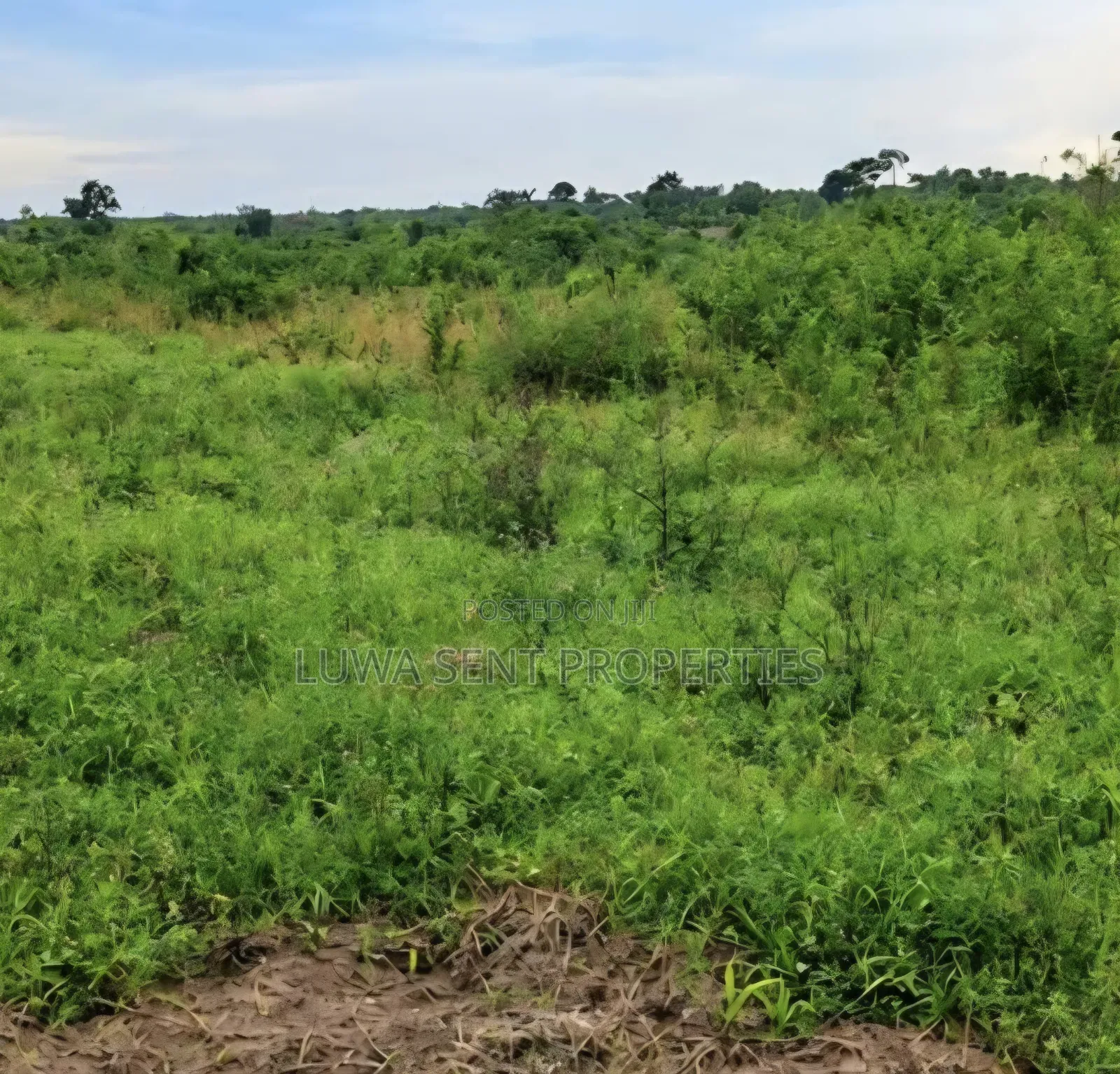 3 Acres Busunju Private Mailo Land Title in Mityana TC