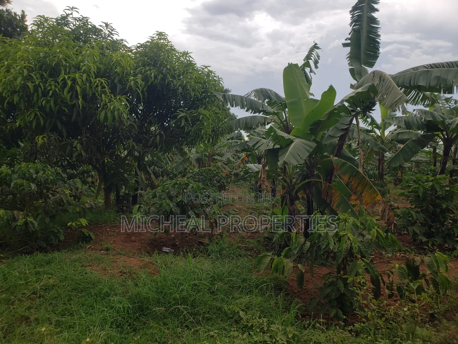 Commercial Plot 50ft by 100ft With Land Titles in Kawempe