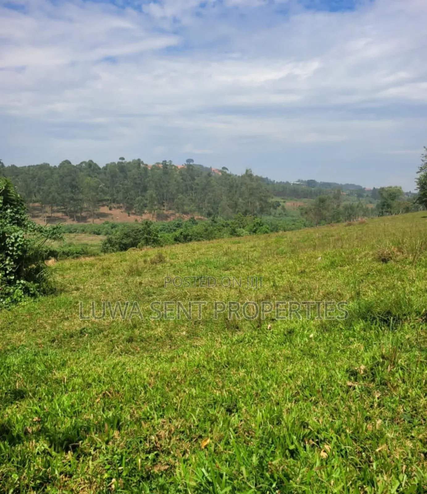 3 Sq Miles Kasangombe Nakaseke District Private Mailo Land Title in Luwero / Luwero