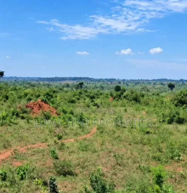 3 Sq Miles Kasangombe Nakaseke District Private Mailo Land Title in Luwero / Luwero
