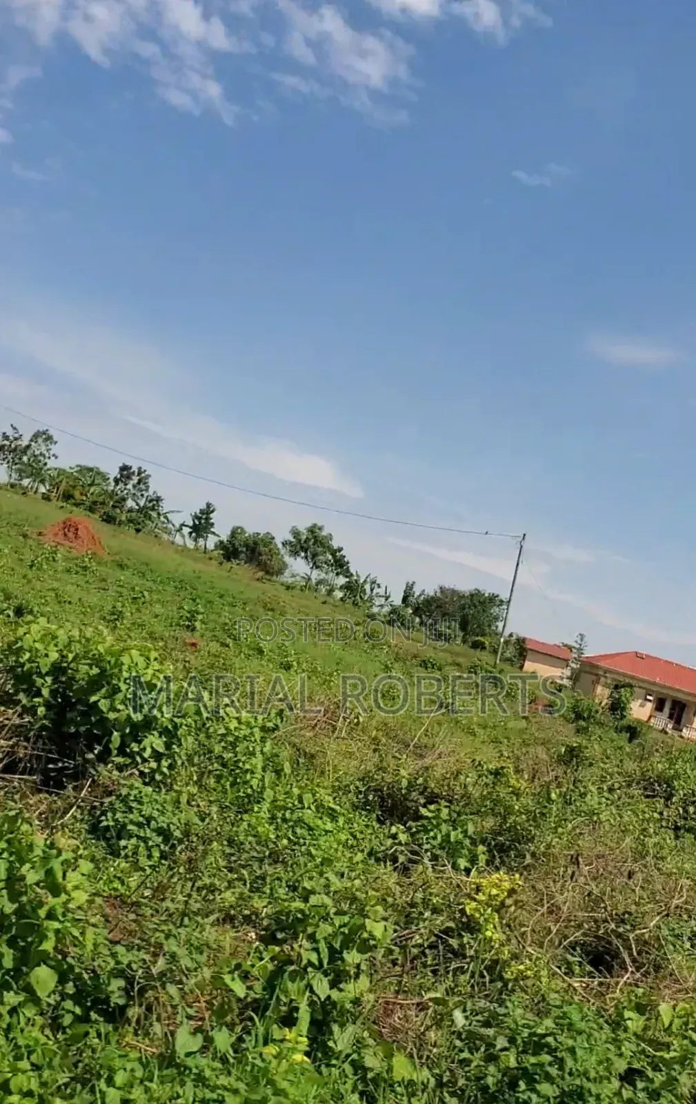 Land for Sale in Gayaza Dundu in Kyampisi