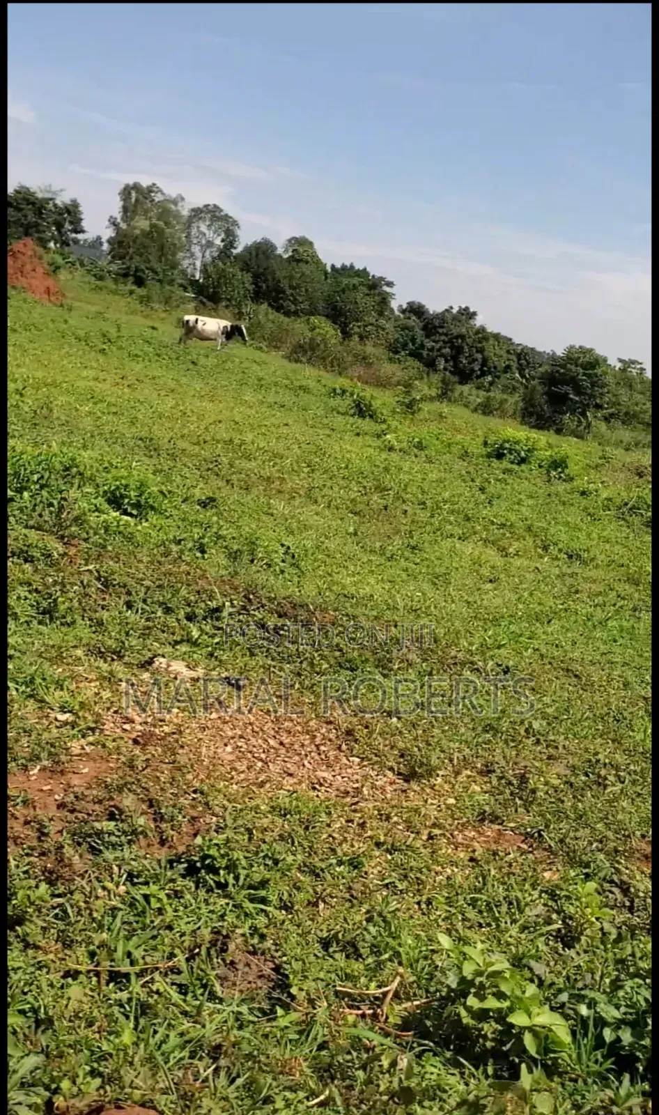 Land for Sale in Gayaza Dundu in Kyampisi