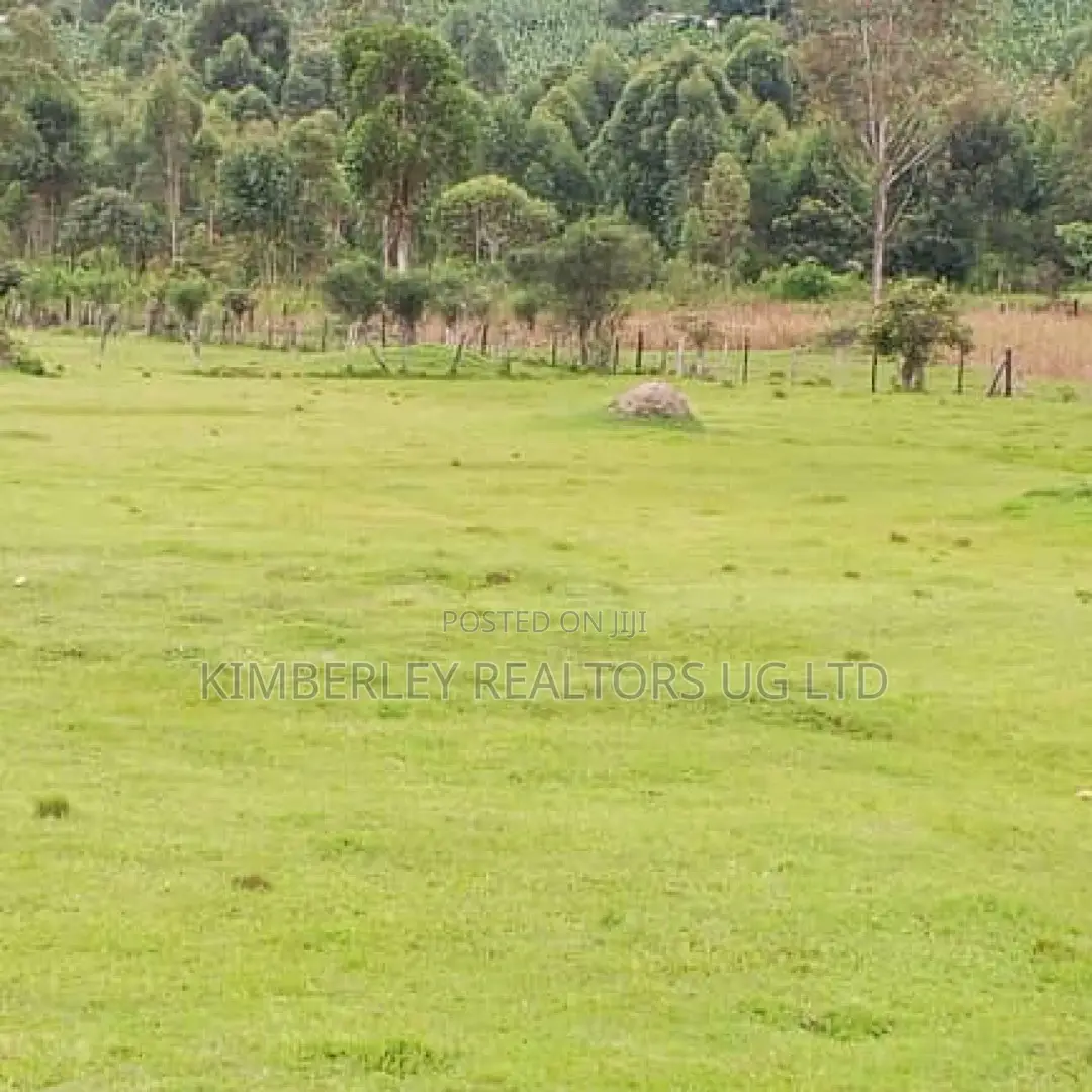 50 Acres for Sale – Bwizibwera Rwanyamahembe in Bushenyi