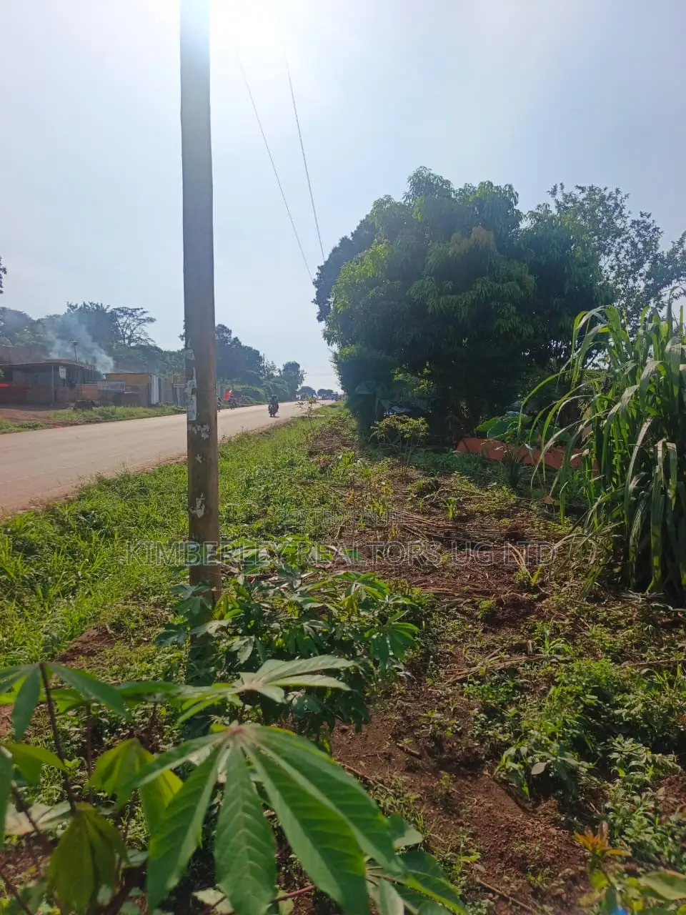 Commercial Plot for Sale – Wakiso Nkowe in Division A