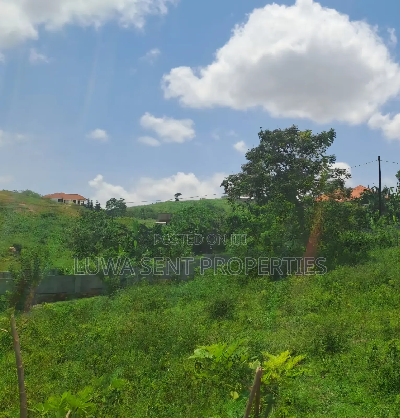 5 Sq Miles Nakaseke Prime Land Mailo Land Title in Luwero / Luwero