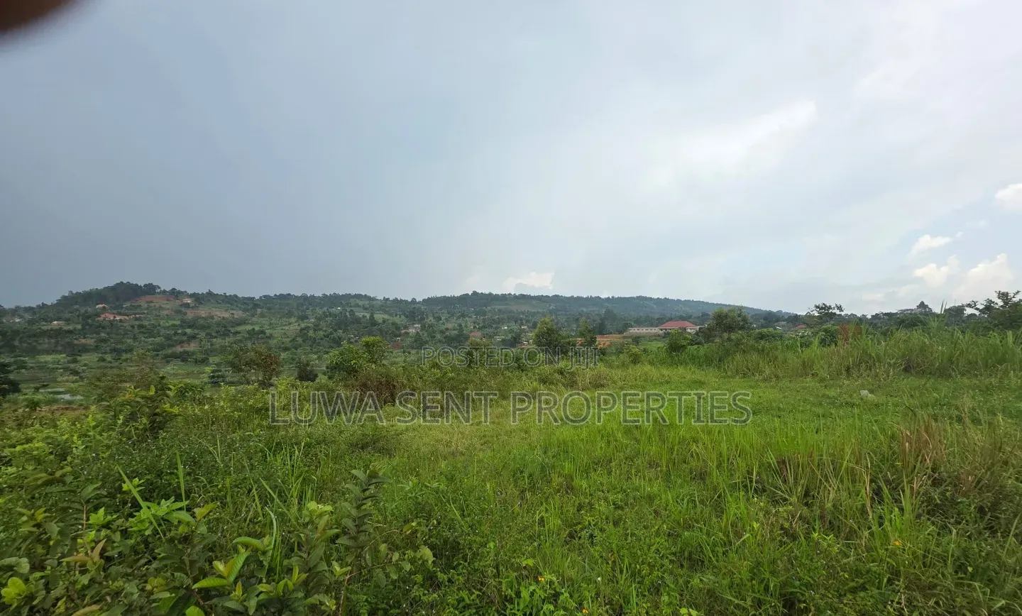 5 Sq Miles Nakaseke Prime Land Mailo Land Title in Luwero / Luwero