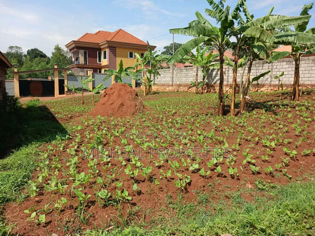Plot for Sell Masoli Gayaza Rd at 85m 50ft by 100ft in Kawempe