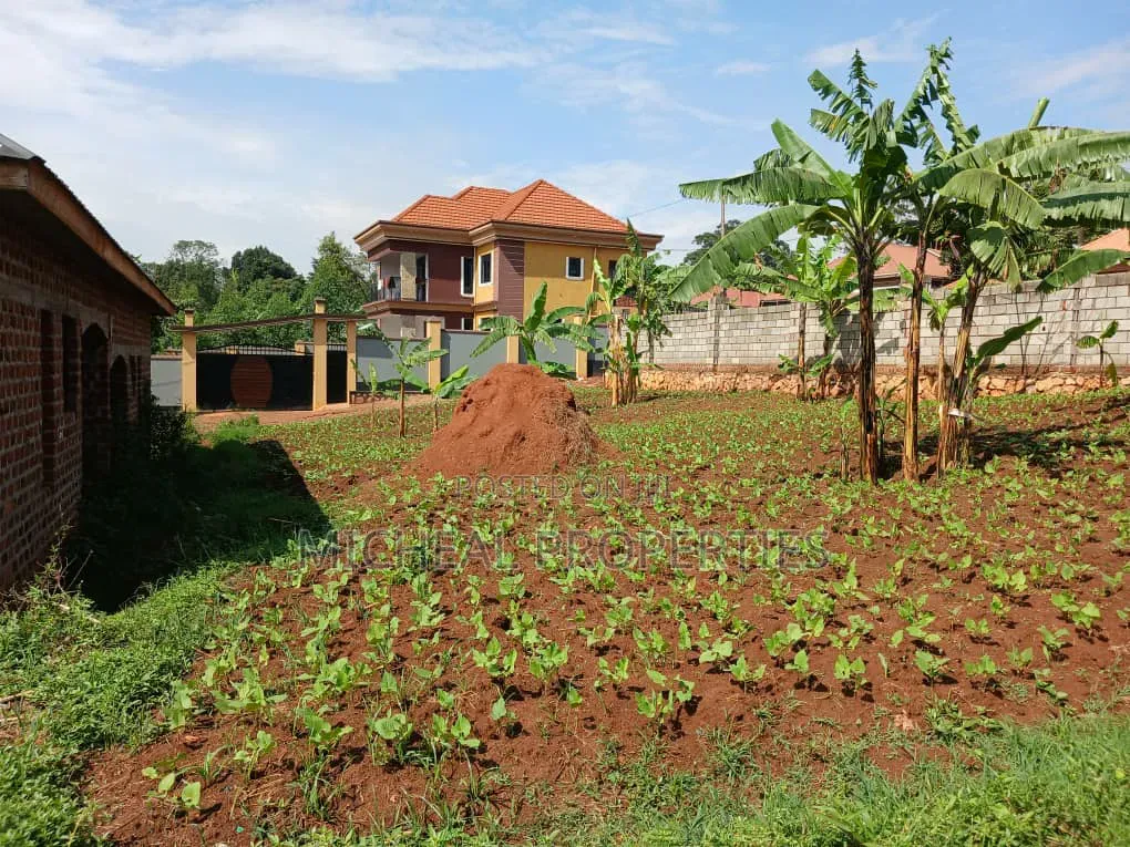 Plot for Sell Masoli Gayaza Rd at 85m 50ft by 100ft in Kawempe