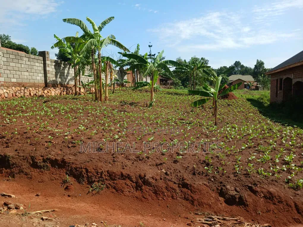 Plot for Sell Masoli Gayaza Rd at 85m 50ft by 100ft in Kawempe