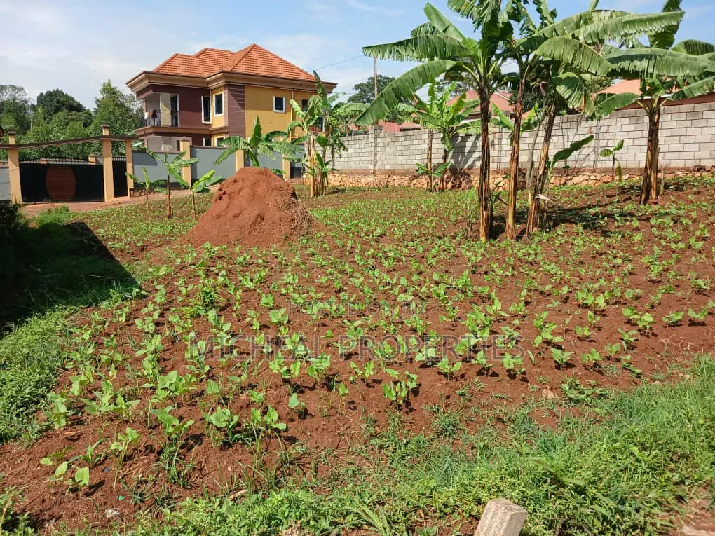 Plot for Sell Masoli Gayaza Rd at 85m 50ft by 100ft in Kawempe