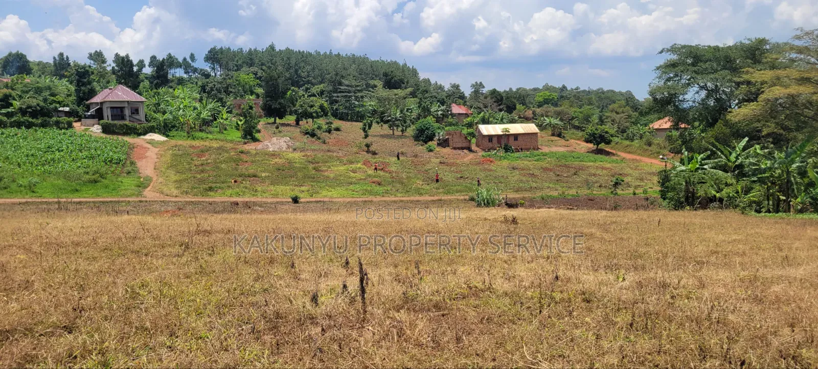 Namayumba Roadside Estate in Wakiso / Wakiso