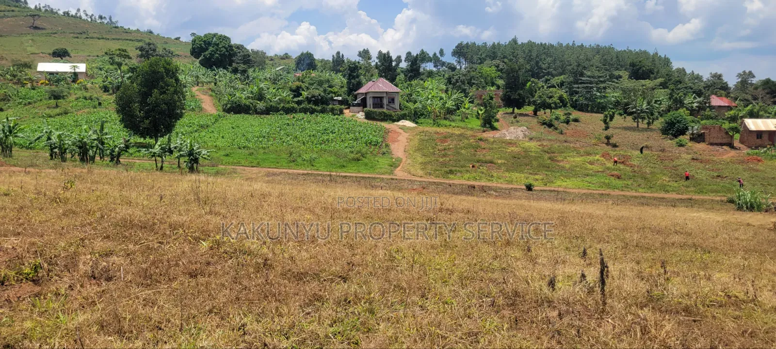 Namayumba Roadside Estate in Wakiso / Wakiso