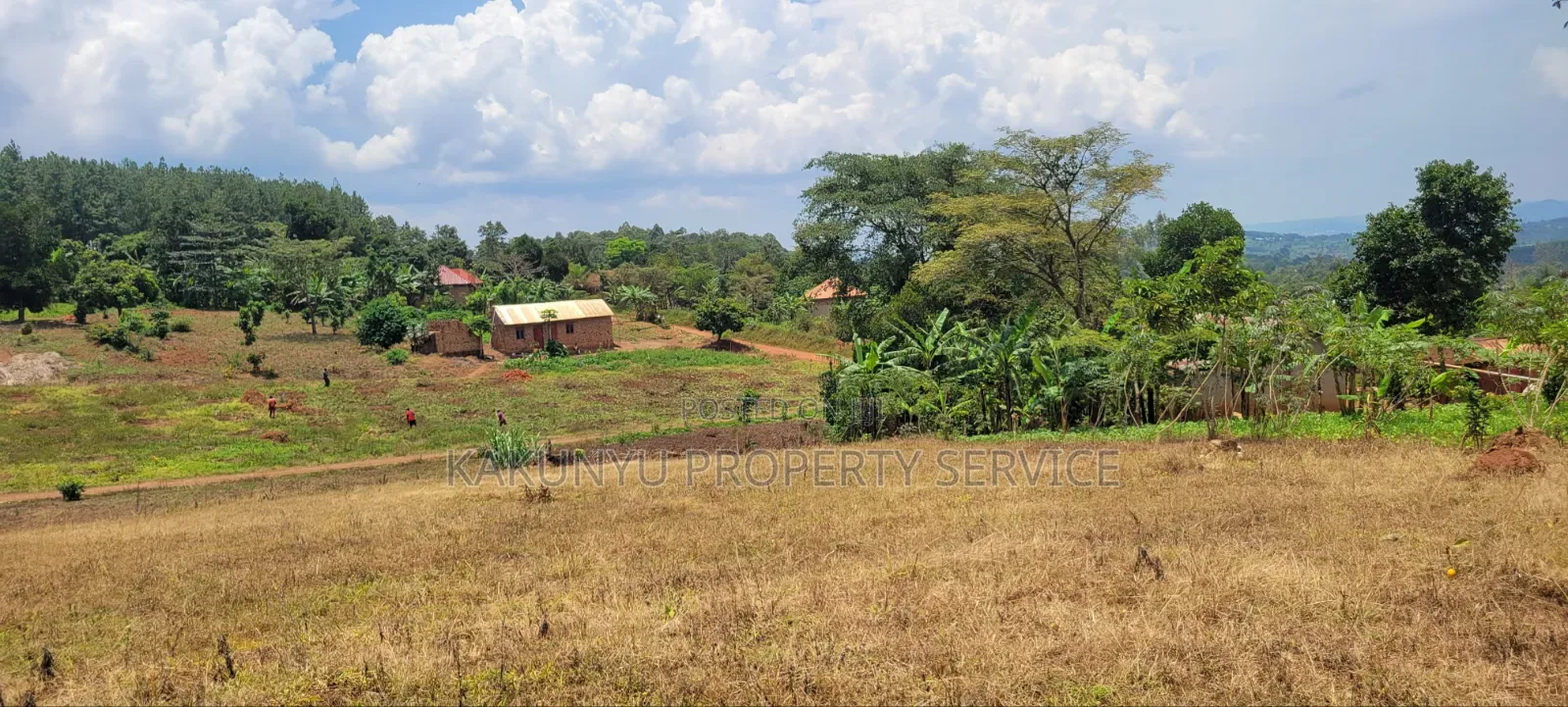 Namayumba Roadside Estate in Wakiso / Wakiso