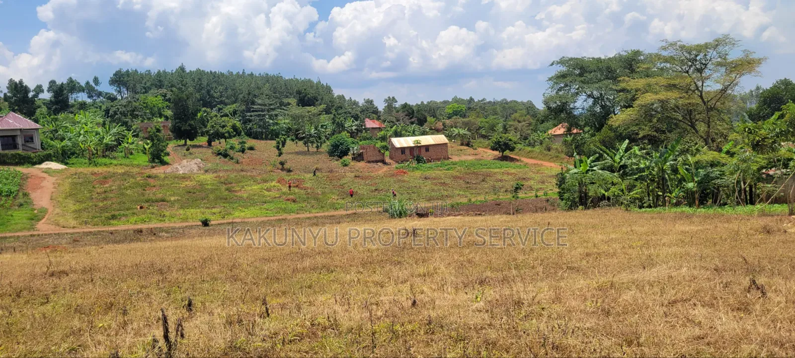 Namayumba Roadside Estate in Wakiso / Wakiso